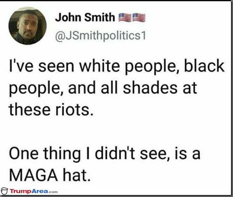 15917200458557624547213863423311