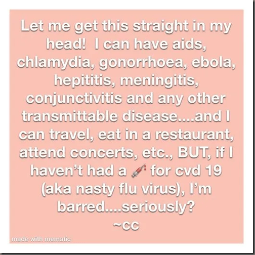 16293865296202323659573306022013