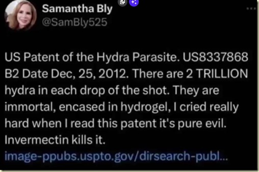 Screenshot 2024-08-05 164918