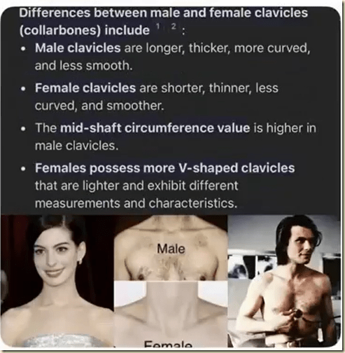 Screenshot 2025-03-18 214335