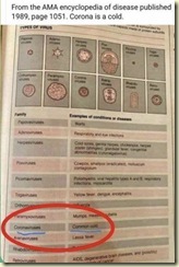 WhatsApp Image 2025-03-24 at 22.00.12_0da1fd5a